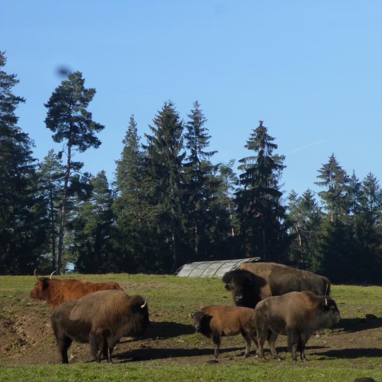 Hotelovy Sikland Zvole (Vysocina)